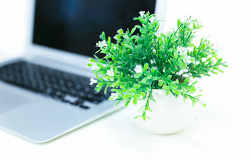 代码中的汉字 为什么能挡住CIA黑客