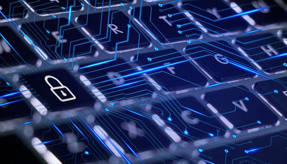 多人被骗，冒牌平台致使亏损惨重